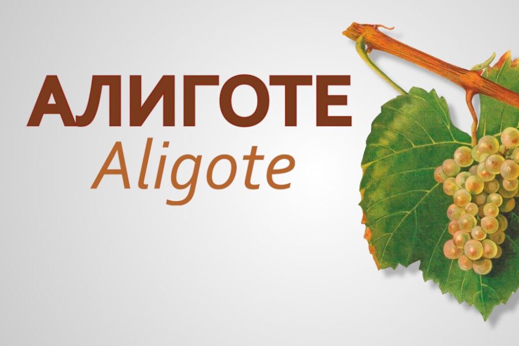 Дегустация «Необычный Алиготе»