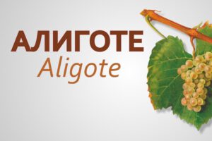 Дегустация «Необычный Алиготе»