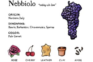 Дегустация «Неббиоло»