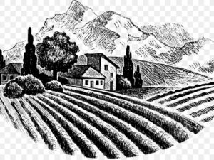 «Этна VS Пьемонт»