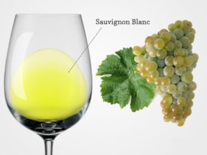 «Совиньоны всего мира»