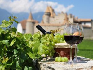 Дегустация «Модная восточная Европа»