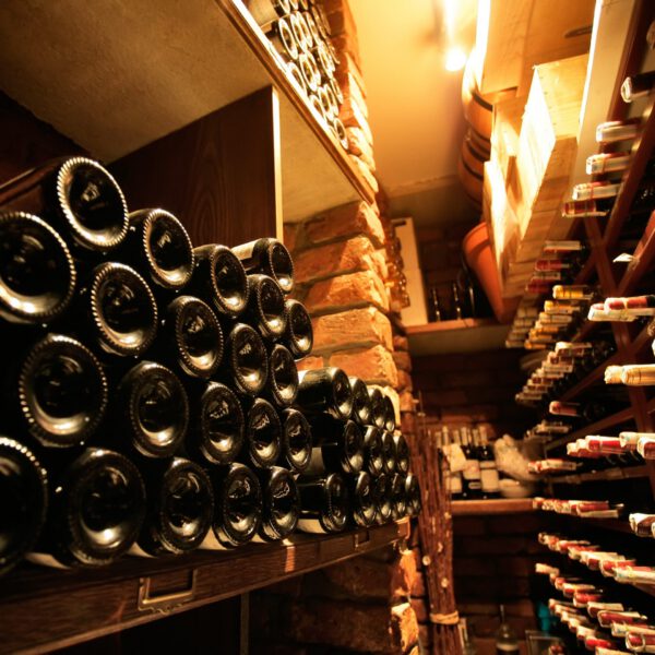 «Винный шкаф Wineselectah»